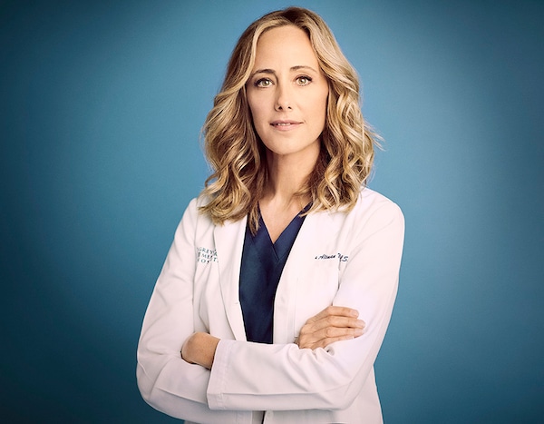 Teddy Altman from Grey's Anatomy: The Season 16 Doctors | E! News